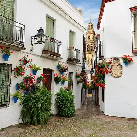 El Patio De San Miguel * Κόρδοβα