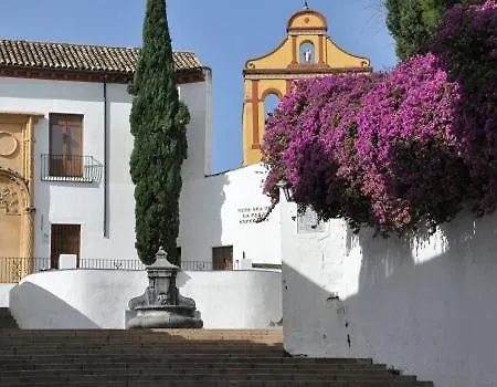 El Patio De San Miguel Apartment Cordoba