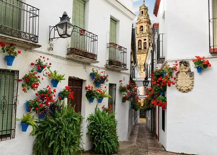 El Patio De San Miguel * קורדובה